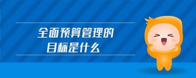 全面預(yù)算管理的目的是什么？